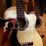 Acoustic Guitars Collection